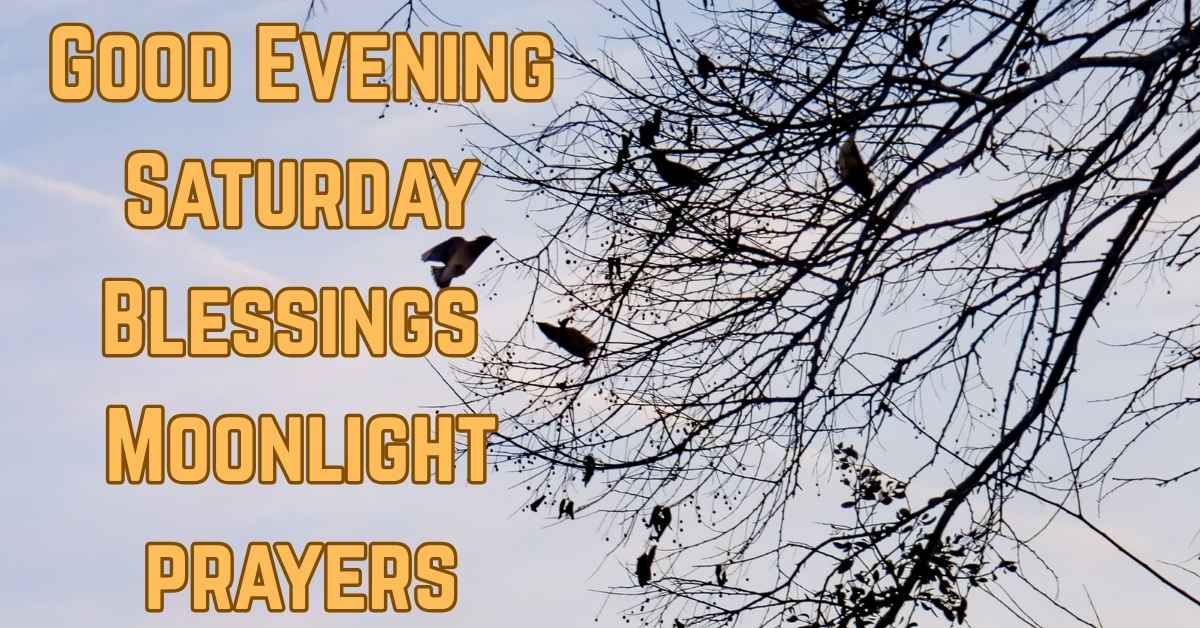 Good Evening Saturday Blessings