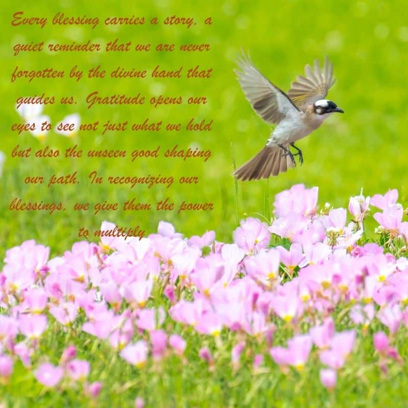 Good Evening Saturday Blessings