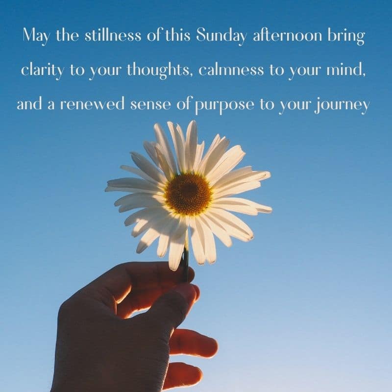 Good Afternoon Sunday Blessings
