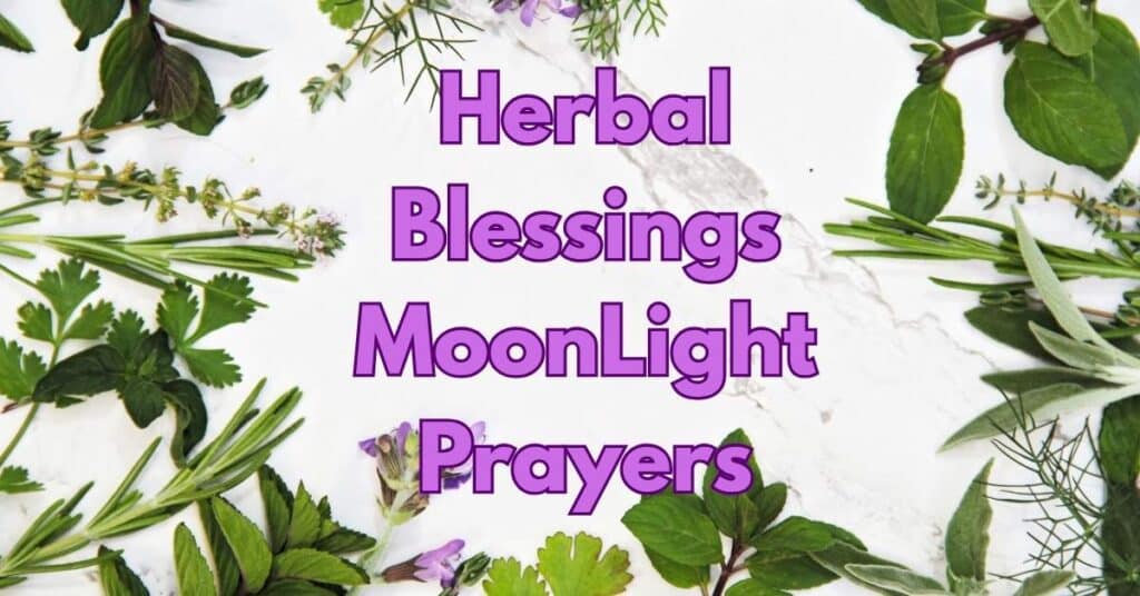 Herbal Blessings – MoonLight Prayers
