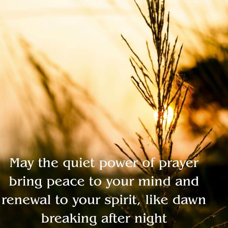 Good Afternoon Sunday Blessings
