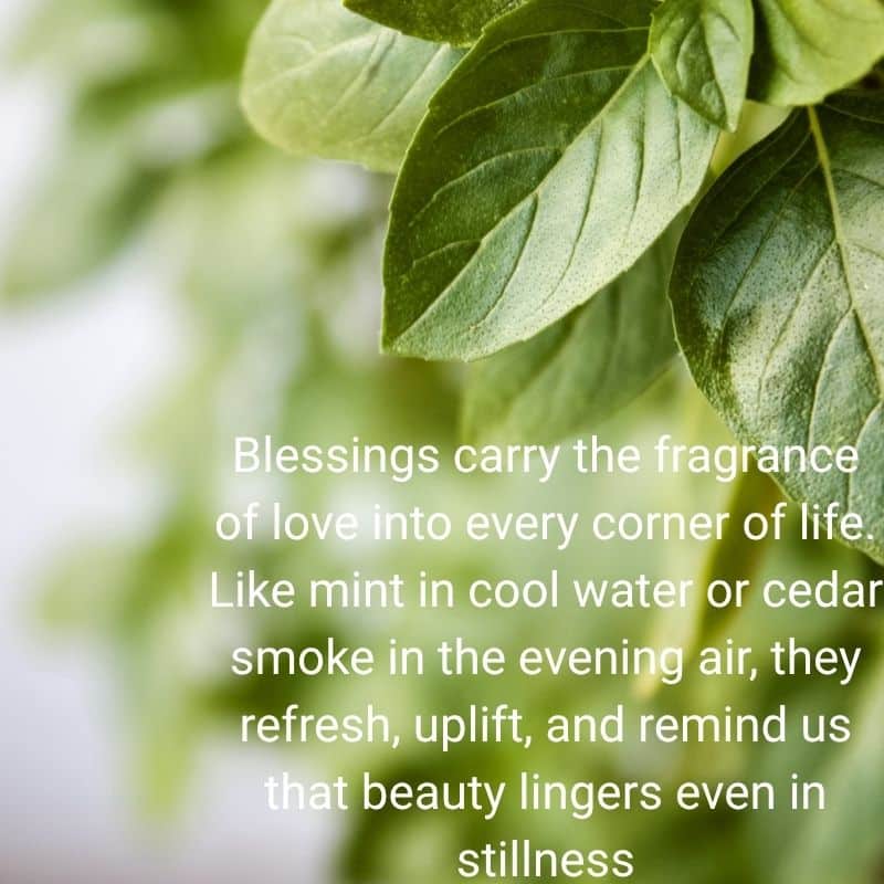 Herbal Blessings