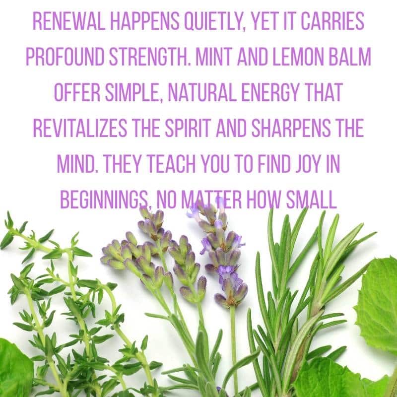 Herbal Blessings