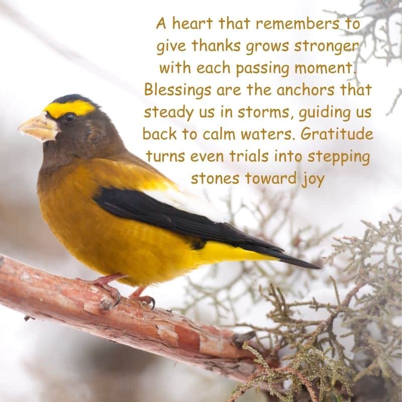 Good Evening Sunday Blessings